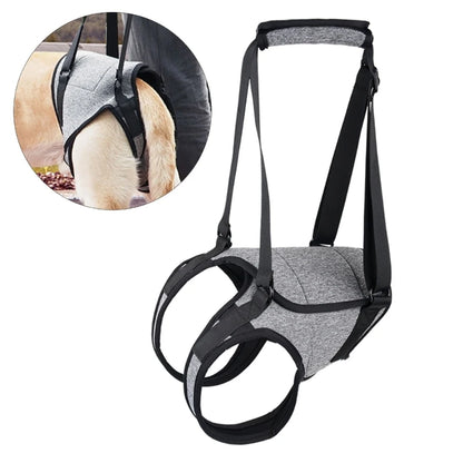 Dog Back Support Dog Lift Harness for Injured Elderly Dogs Disabled Pet Supplies