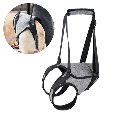 Dog Back Support Dog Lift Harness for Injured Elderly Dogs Disabled Pet Supplies